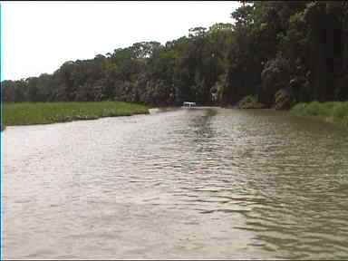 Canals to Tortuguero