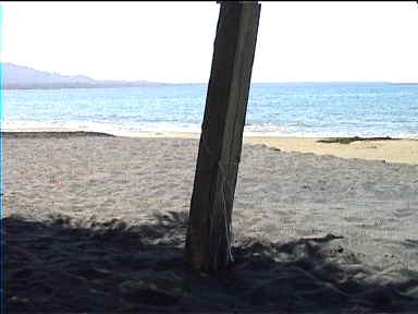 Black Sand meets white sand at Puerto Viejo beach
