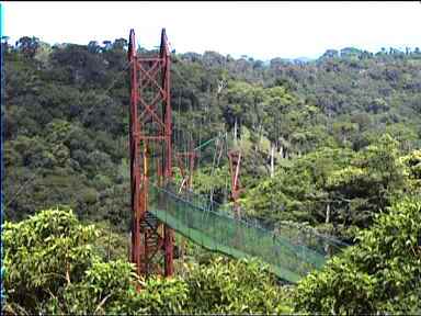 One of the seven bridges of 'Sky Walk'