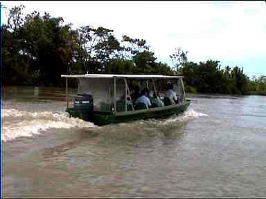 Boats used for shuttle to Tortuguero