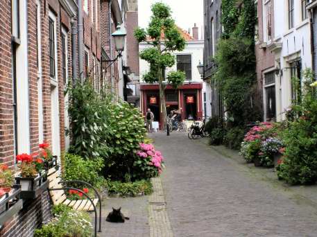 Idylic Haarlem
