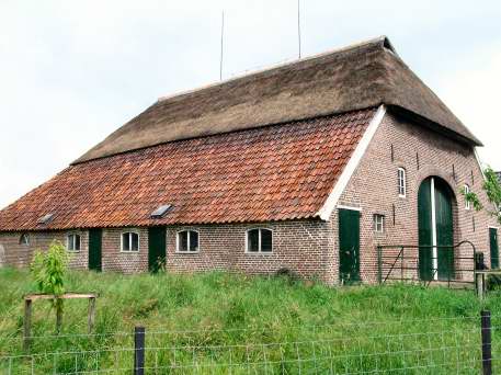 Straw-roofed house