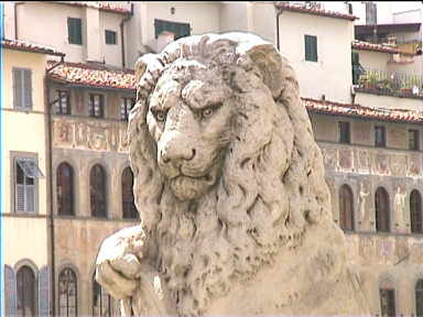 A pretty determined looking lion outside Santa Croce
