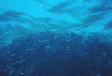 Water surface structure at the end of a dive
