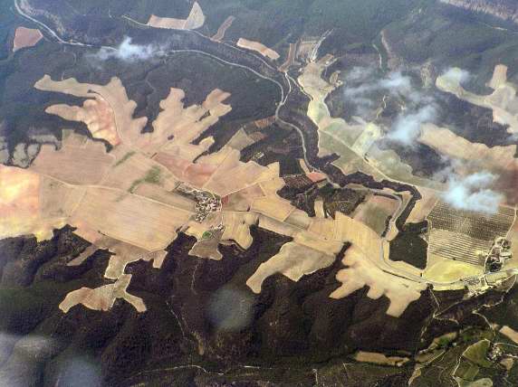 Fields on hills looking like a huge lizard, France