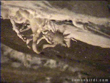 Unique spiky Aragonite in Gruta da Torrinha (there's no other one like this wordwide)