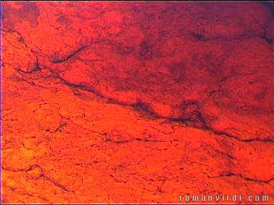 Water in the lagoon is deep red from the Tannin it contains