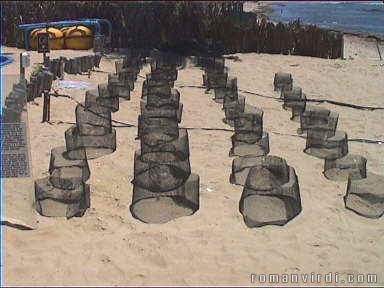 Text says: "Each year in this hatchery, 300 nests are incubated and 22'000 baby turtles are produced. Each cage corresponds to one nest, buried 50 cm deep, with approximately 120-130 eggs. After 45 to 60 days, the baby turtles emerge from the sand, usually at night, when it is cooler. Tamar biologists check nests 2 or 3 times a night and release at the beach any hatchlings they find as soon as they are born."