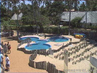 Turtle pools at TAMAR