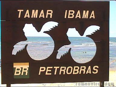 TAMAR turtle station at Praia do Forte