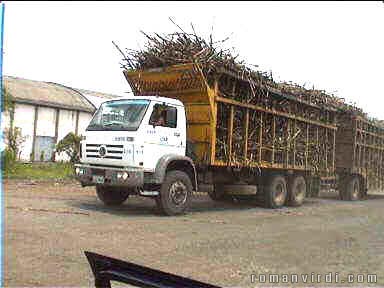 Truck delivering sugarcane. The roads leading to the sugar mill are littered with sugarcane fallen during delivery