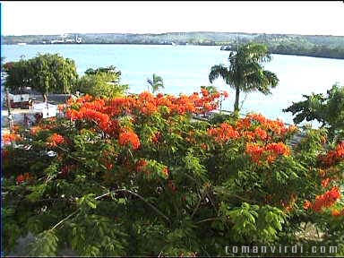 View from our room in Pousada Colonial