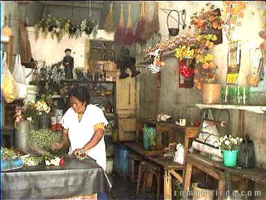 At a local florist in Recife