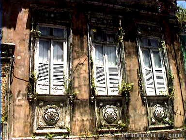 Pelourinho house with plants growing all over it