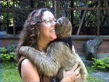 Biologist with her pet sloth
