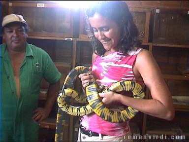 Another one of the visitors dared to hold the snake too (but only after I'd done so and survived!)