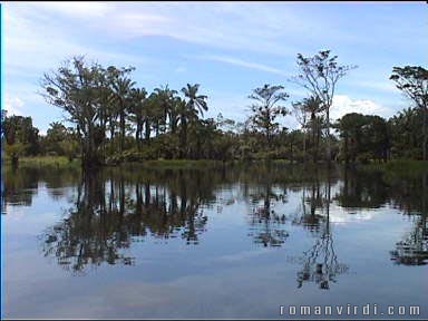 Chugging in calm water