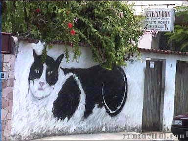 Mural at Veterinarian near Bomfim 