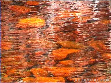 Tannin coloured water