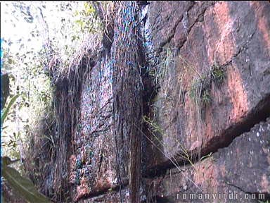 Table-mountain rock