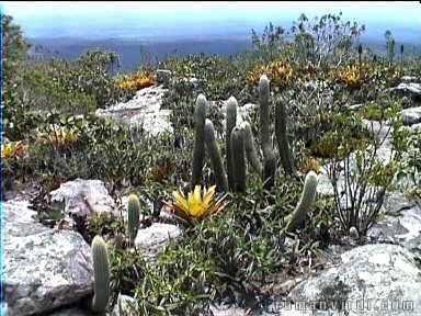 Top of Pai Inñcio