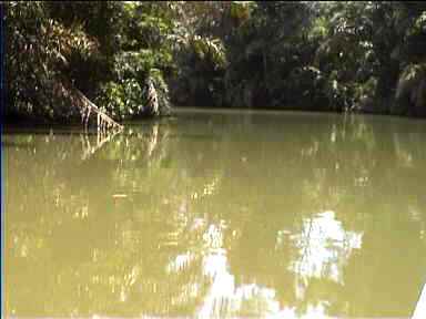 Very smooth Canal water surface