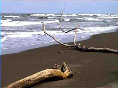 Wild beach at Lodge (no swimming!)