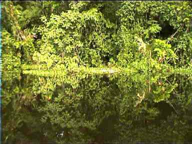 Canal reflections