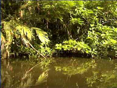 Canal reflections