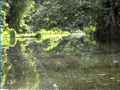 Canal scene