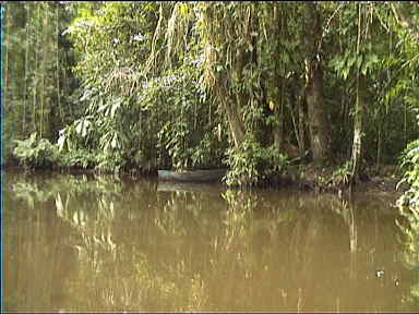 Beautiful Canal reflections