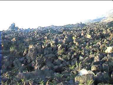 Old Lava rocks of Volcan Arenal