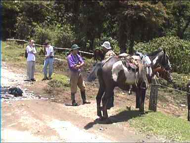 At the end of horse ride (cowboy has purple top)