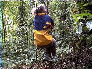 Successful at climbing a vine