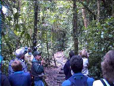 Photographer with large Tele, Guides, Tourists waiting for rare Quetzal