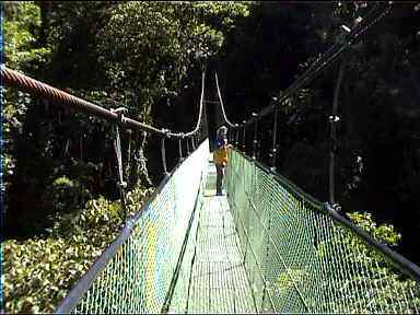 On a bridge