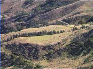 Wonderful Landscape from Finca Ecologica Mirador (lookout)