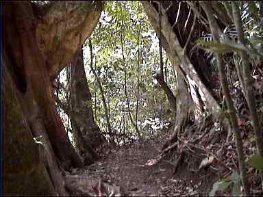 Natural arch at Finca Ecologica