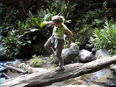 "Almost" fell off the log and into the waterfall