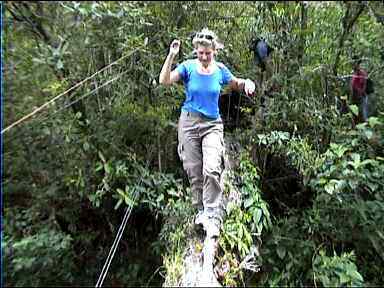 Crossing log across deep ravine