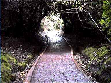 The nice path to the Laguna