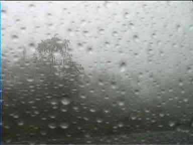 Rainforest through rainy minibus window on way to Tortuguero, Costa Rica