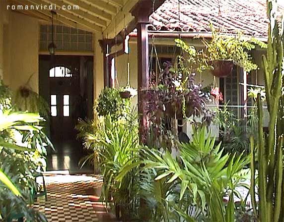 Beautiful green courtyard garden of our Casa Particular