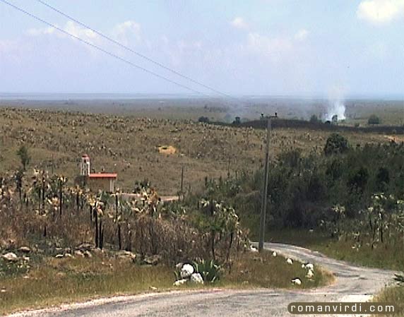 Landscape on way to Trinidad