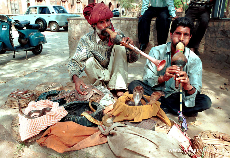 Snake charmers outside Safdarjung's Tomb. They demanded a horrendous fee after I'd taken their picture, but I gave them a more reasonable sum