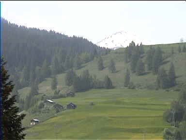 Lush green mountainside