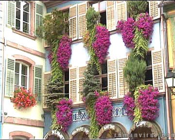 The Alsatians are flower crazy. Look at this nice facade in Ribeauvillñ
