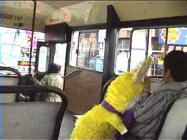 City bus with conductor near the door calling out stops. A passenger's got a huge toy