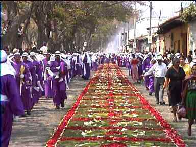 Path of flowers on which procession will march in Antigua