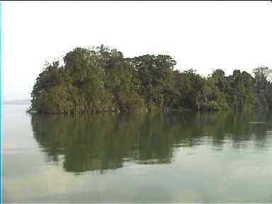 Small island near the boat. We anchored here on our last night